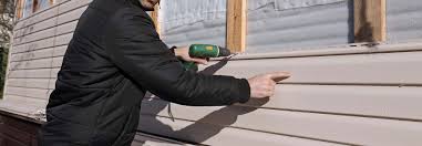 Best Siding Painting and Refinishing  in Prairie Creek, AR